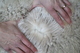 Juvenile Fleece