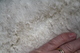 2012 cria fleece