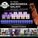 Photo of A.L. Paca's Andromeda Galaxy