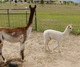 With her mom - check out her mom's color!