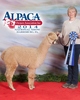 FULL Sister - 1st AOA Nationals - Athena