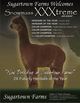 Sire - Snowmass XXXtreme