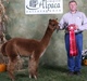 2008 Cria - KIWI Ribbon Winnner