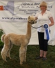 Cria 2010- Apollo, Ribbon Winner