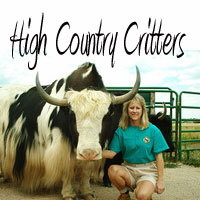 High Country Critters - Logo