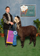 Color Champ 2010 cria