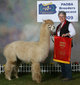 Sire of cria 