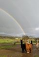 Fleur (with her pal Molly) is the pot o' gold in March 2018