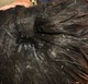 Long Silky Locks - True Black under