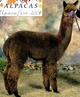 1st Cria 