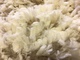 Juvie fleece