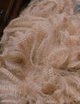 Aslan's gorgeous fleece