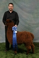 Blue Ribbon cria - McGregor