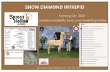 Photo of Snow Diamond Intrepid