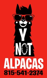 y not alpacas - Logo