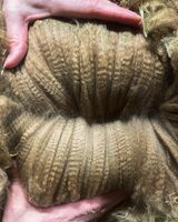 Hazel's Fleece - 8 month - Jan 2024