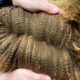 Fouki Fleece - 7 month - Jan 2024