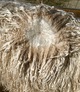 9 month old fleece