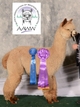 Svc Sire:  TAG Nevermind