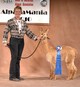 AlpacaMania 1st Place