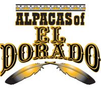 Alpacas of El Dorado - Logo