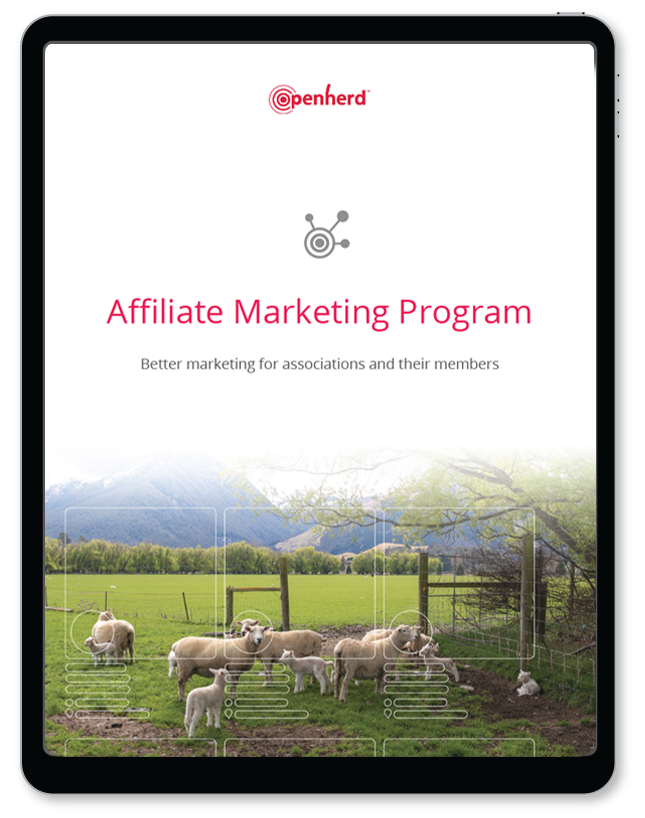 Affiliate Marketing Program Info Packet - PDF