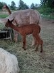 Standing with mama!