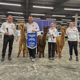 Get of Sire Winner - Royal Agricultural Winter Fair (November 2024)