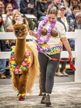 Costume Contest winners - Royal Winter Fair 2024