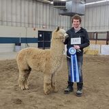 6x Champion Son Caley's Zephyr