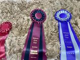 Supreme Champion and Judge’s Choice Fleece 2023