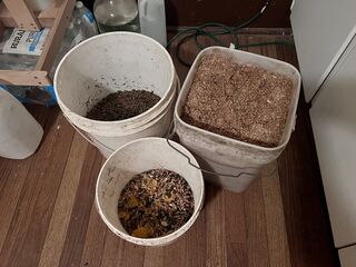 Feeds soaking overnight 