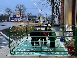 Ohio Fashioned Christmas Grafton