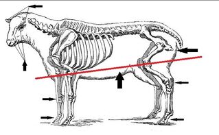 Fig. 7 Markings - black is allowed below red lin.