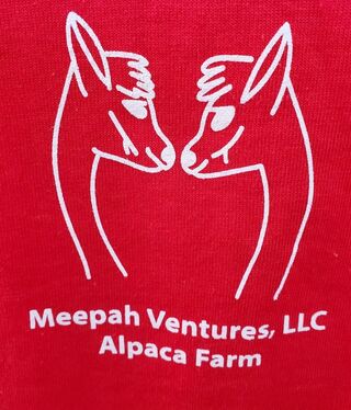 Photo of Meepah Ventures T-Shirt