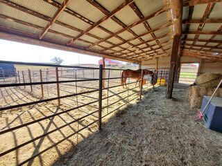 X Barn interior