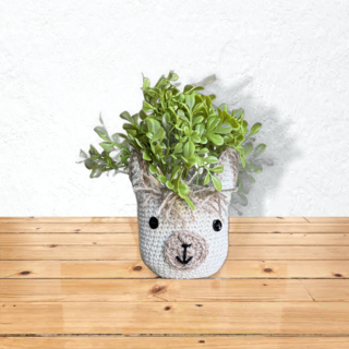 Photo of Alpaca Plant Holder