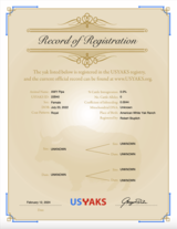 AWY Pipa USYAKS Registration