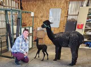 Harvest Host Visitor with Sawdust's Jessninia and  little Black Limba