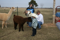 Frieda Kisses a Young Cowboy on a Private Tour