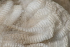 Raw Fiber Harvested via Shearing