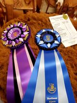 Color Champion PNAA Fleece Show 2021