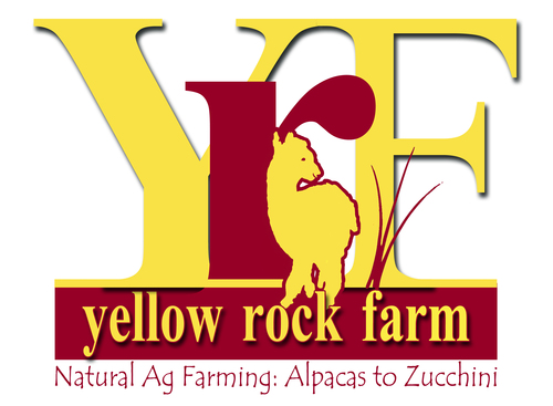Yellow Yam (lb) - FarmLinkr