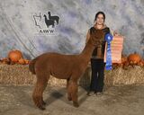 Alpacapalooza 2024 WF Championship