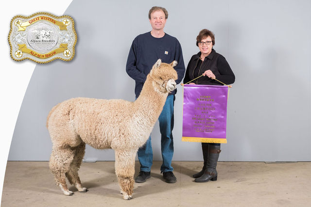 Wisconsin Alpaca and Fiber Fest coming to West Bend