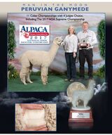 2017 AOA Nat'l Supreme Champ & Invited White CC