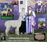 Maternal Grandsire - Snowmass Elite Legend