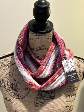 Photo of Pink Multi Infinity Scarf