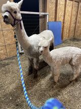 Misty with mom, Amara