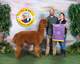 Champion Ma & Pa Alpaca Pronk  2021 FF Color Champion Brown Female